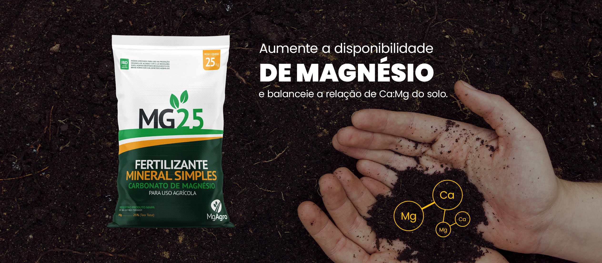 banner-teste-mg-agro