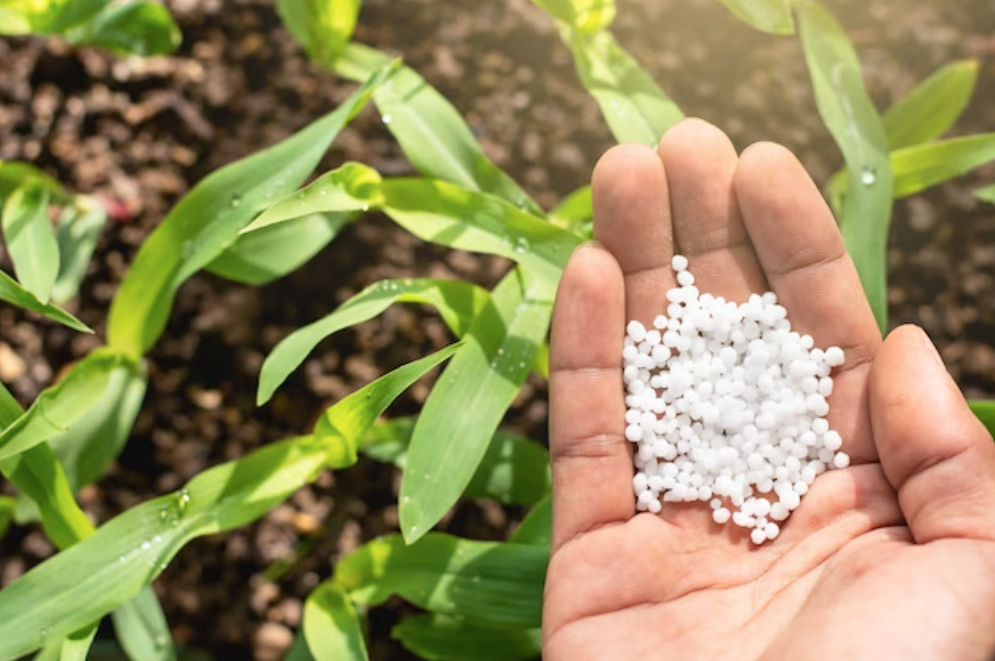 tipos de fertilizantes