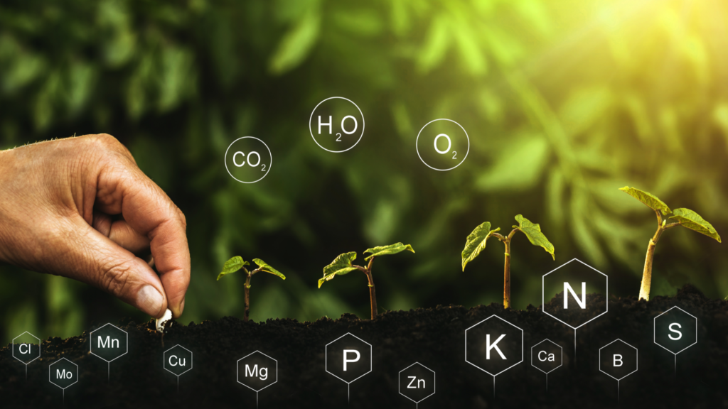 Nutrientes Essenciais