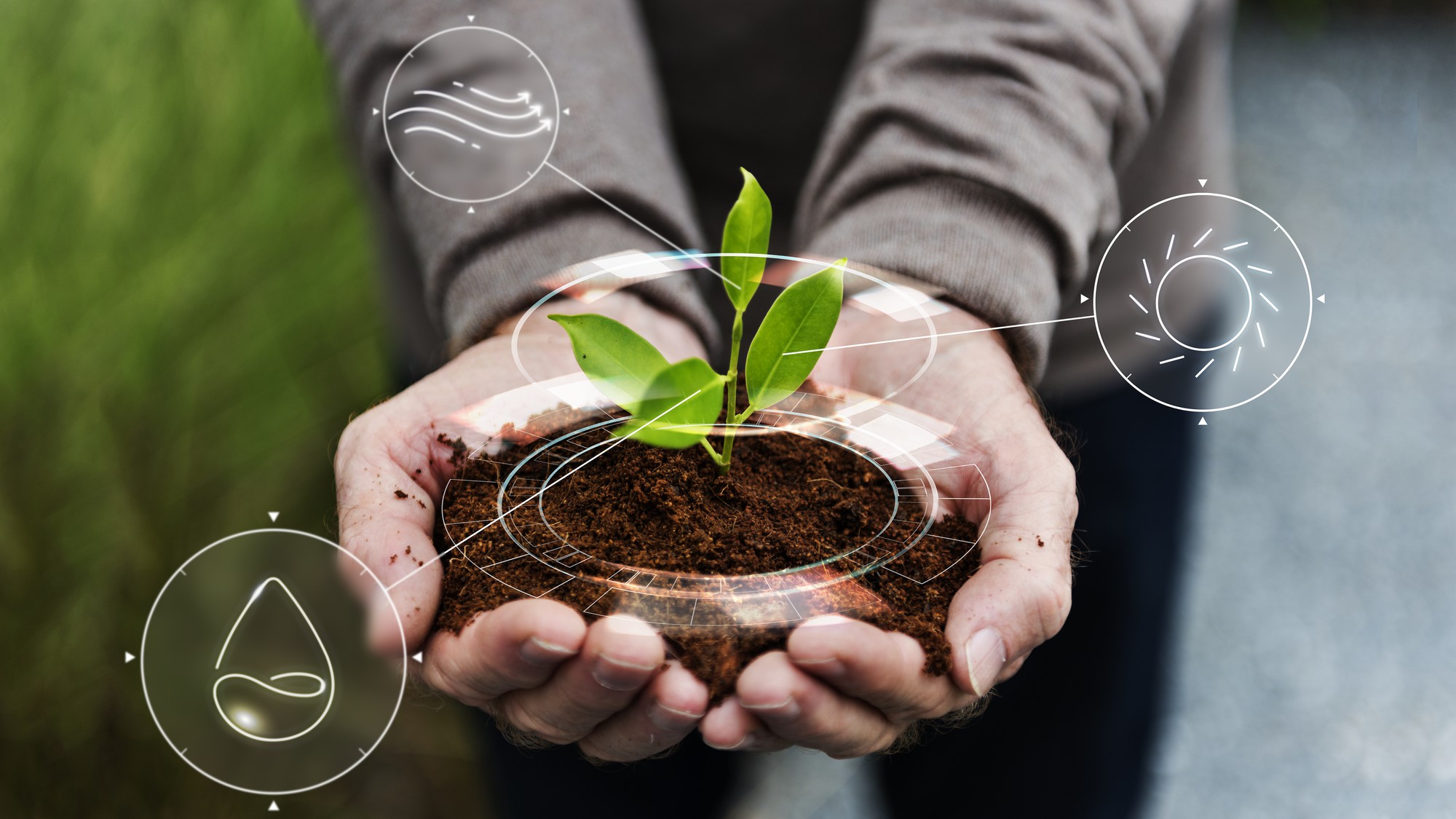 Práticas agrícolas sustentáveis