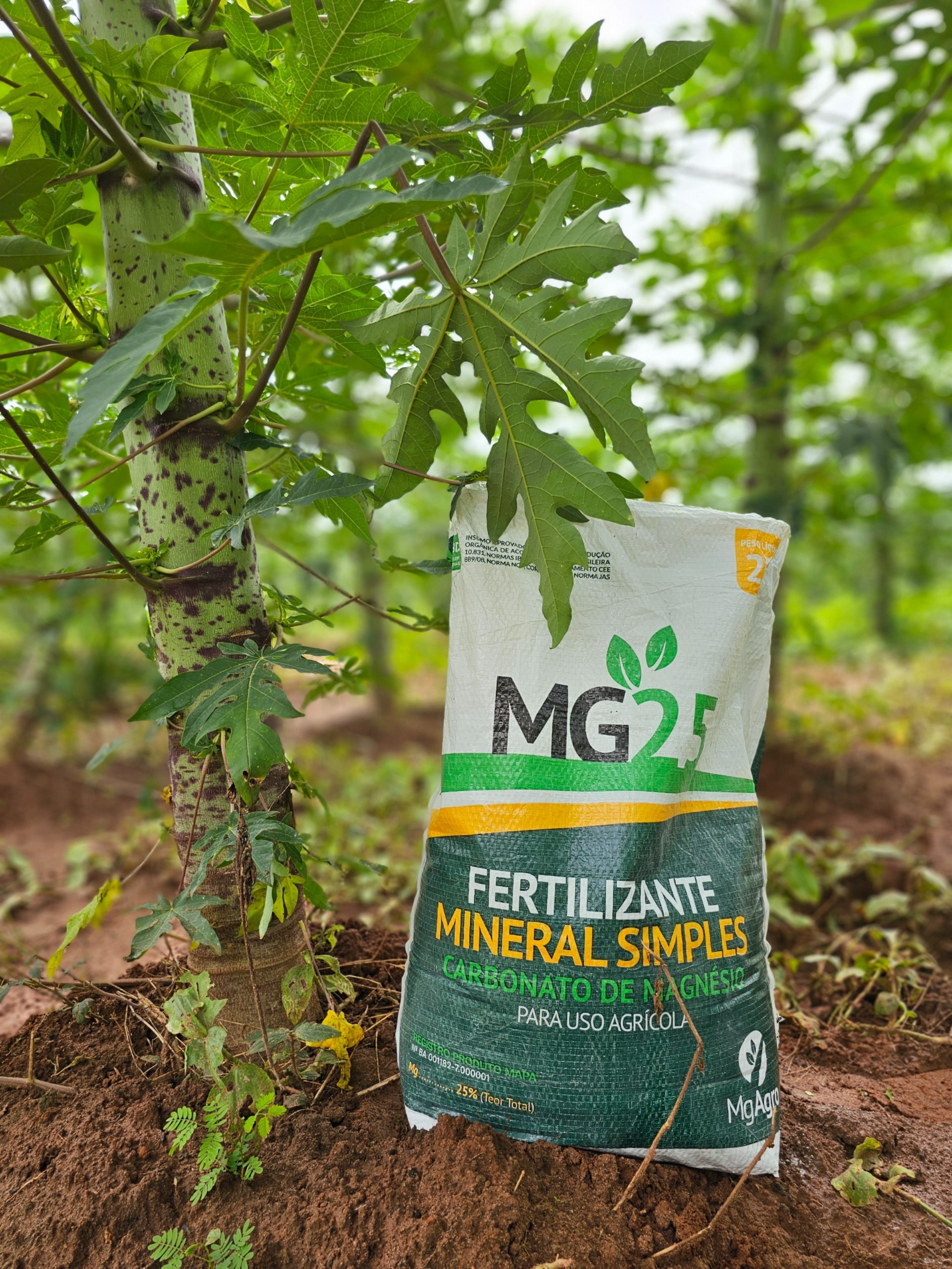 mg-agro (6)