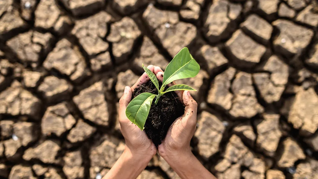 Impacto das Mudanças Climáticas na Produtividade Agrícola