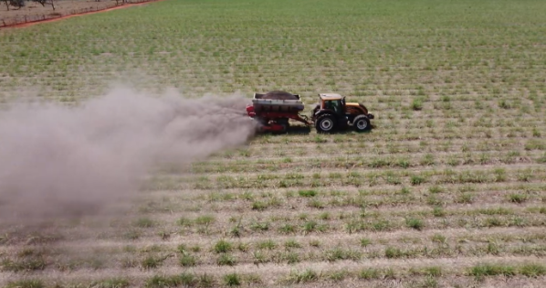 relação entre bases na fertilidade do solo