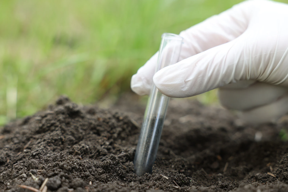 interpretar a análise de solo