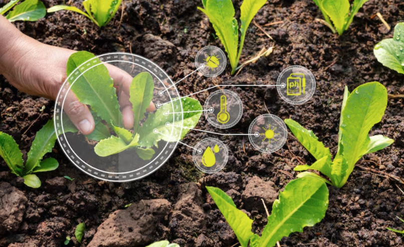 adubação de sistema