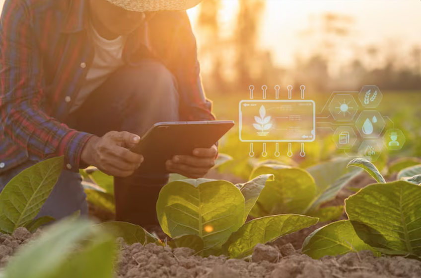 agricultura sustentável na prática