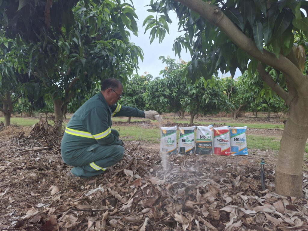 fertilizante mineral x organomineral