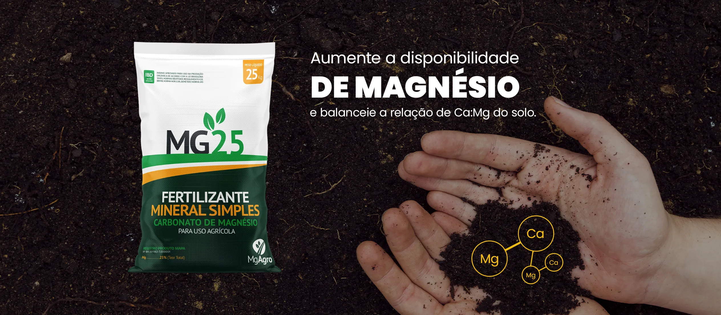 banner-teste-mg-agro