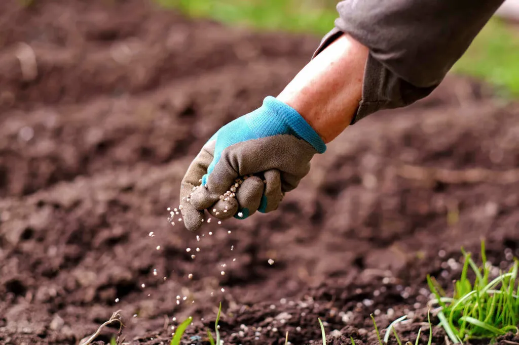 fertilizantes organominerais