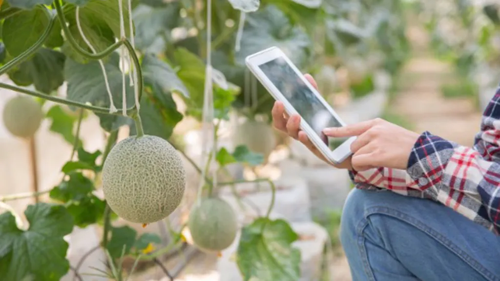 Tecnologia na Agricultura
