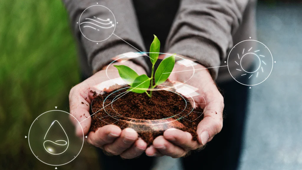 agricultura regenerativa