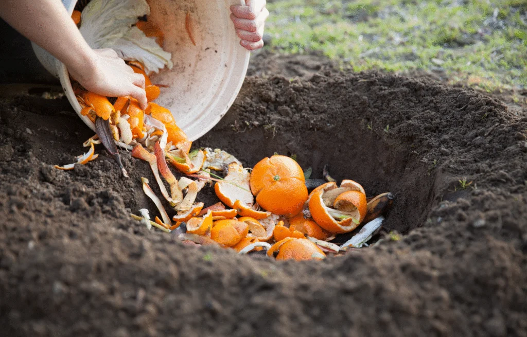 compostagem na agricultura